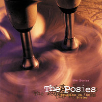 Lights Out - The Posies