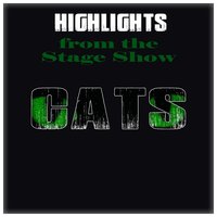 The Old Gumbie Cat - Andrew Lloyd Webber, New Musical West End Orchestra