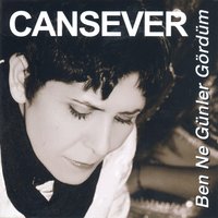 Anam Olsaydı - Cansever