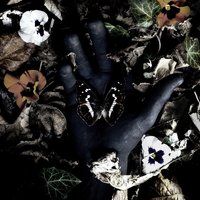 Metamorphose - Tripsitter