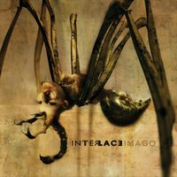 Eclosion - Interlace