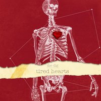 Permanent Night - The Dig