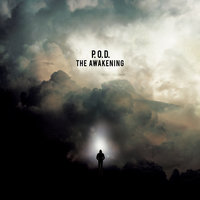 Criminal Conversations - P.O.D., Maria Brink