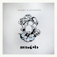 Find the Light - Shane Alexander