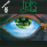 The Night - Iris