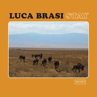Collisions - Luca Brasi