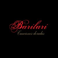 Fragilidad - Barilari