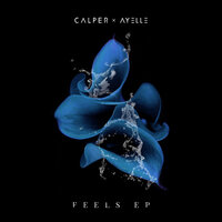 Lucid - Calper