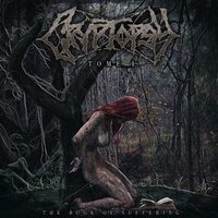 Framed by Blood - Cryptopsy