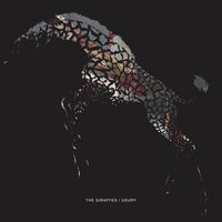 White Jacket - The Giraffes