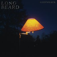 Moths - Long Beard