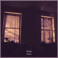 Feel - Petal