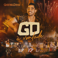 Reapaixonar - Gabriel Diniz