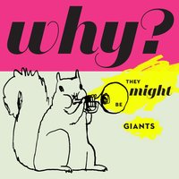 Elephants - They Might Be Giants, Danny Weinkauf