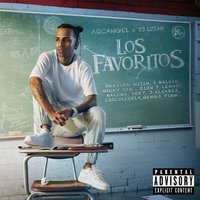 Vacilar Y Joder - Arcangel, Dj Luian, Genio