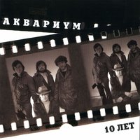 Никто из нас не... - Аквариум