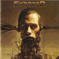Bioactive - Sybreed