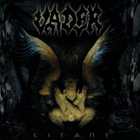 A World Of Hurt - Vader