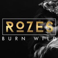 Desirable - ROZES