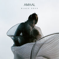 Later - AMAAL