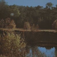 mistreatment - deadbeatteen