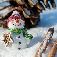 Leave Milk for Santa! - Calming Sounds, Study Concentrate, Serenity garden