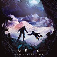 Where's the Love - Griz