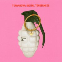 Storm - Terranova
