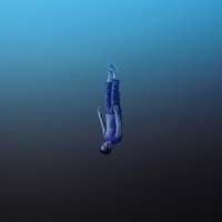 Oblivion - Todtgelichter