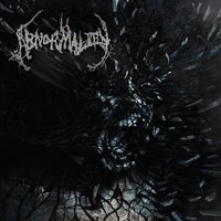 Cymatic Hallucinations - Abnormality