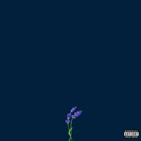 rumours - gnash, Mark Johns