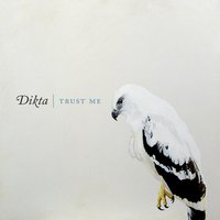 Caution - Dikta