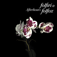 Fra I Non Viventi Vivremo Noi - Afterhours