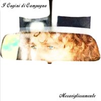 Festa - I Cugini Di Campagna