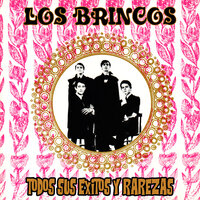 El Pasaporte - Los Brincos