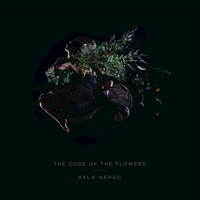 Turning Wake - Ayla Nereo