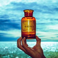 The Jackal - Blackfield
