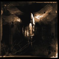Shutter - Forgotten Tomb