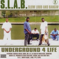Slab Bitch - Trae Tha Truth, M, Lil B The Grinda
