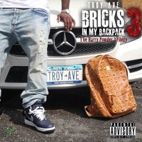 Shame - Troy Ave