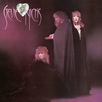 I Sing for the Things - Stevie Nicks