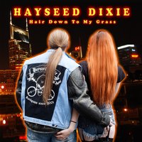 Dude Looks Like a Lady - Hayseed Dixie