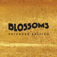 Smoke - Blossoms
