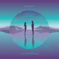 Grace Fully - Wildlight, Ayla Nereo, The Polish Ambassador