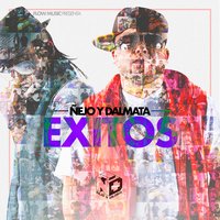 Mal de Amores - Nejo, Dalmata