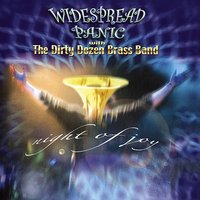 I Wish - Widespread Panic