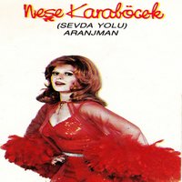 Adını Anmayacağım - Neşe Karaböcek