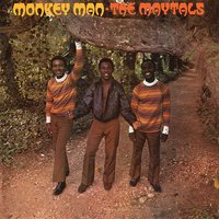 The Preacher - The Maytals