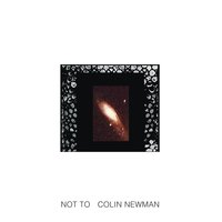 Safe - Colin Newman