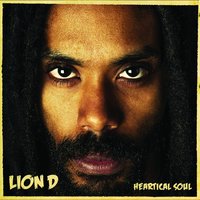 Blaze Up - Lion D